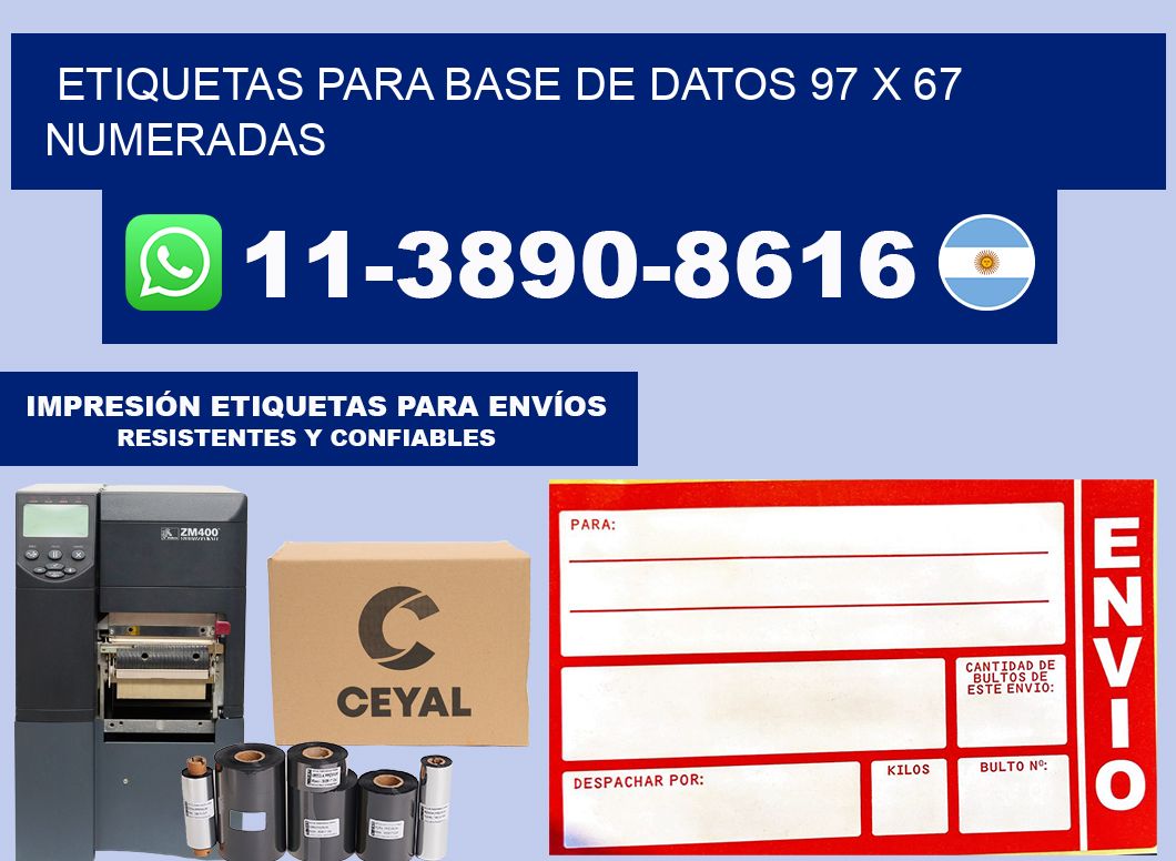 etiquetas para base de datos 97 x 67 numeradas