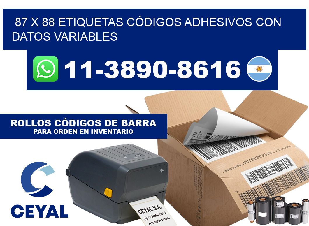 87 x 88 ETIQUETAS CÓDIGOS ADHESIVOS CON DATOS VARIABLES