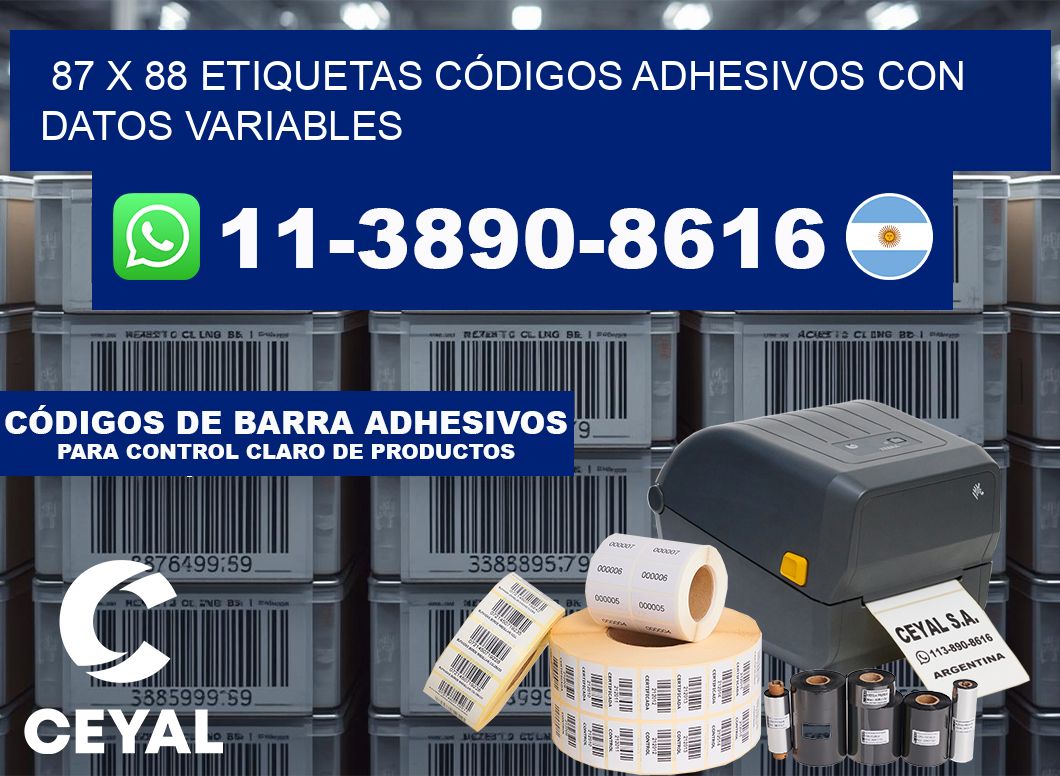 87 x 88 ETIQUETAS CÓDIGOS ADHESIVOS CON DATOS VARIABLES