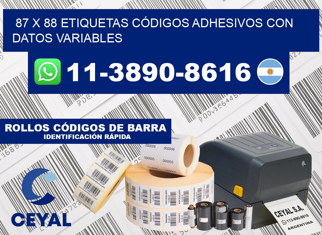 87 x 88 ETIQUETAS CÓDIGOS ADHESIVOS CON DATOS VARIABLES
