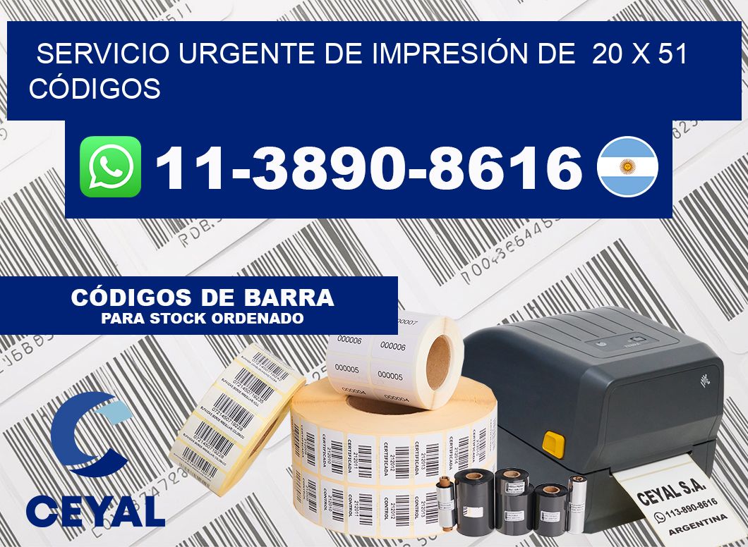 SERVICIO URGENTE DE IMPRESIÓN DE  20 x 51 CÓDIGOS