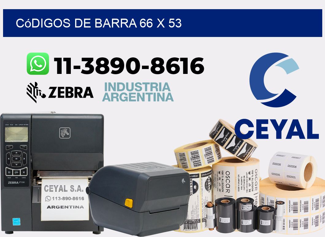 códigos de barra 66 x 53