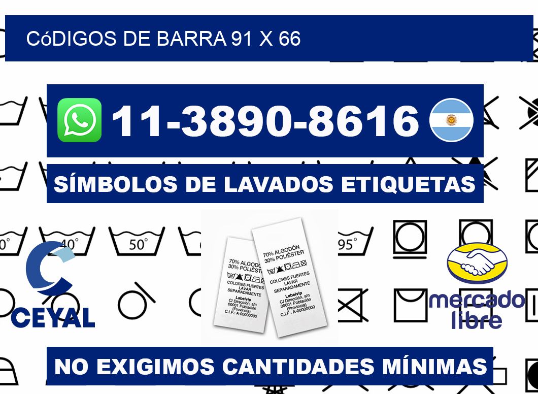 códigos de barra 91 x 66
